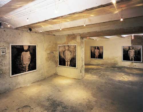 galerie katze 5_2