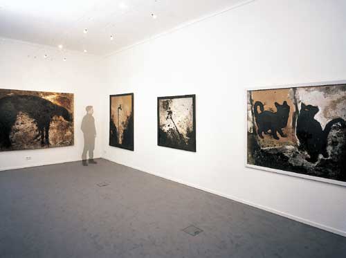 galerie katze 5